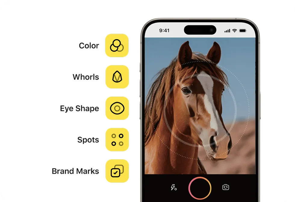 TTcare Equine - AI FOR PET