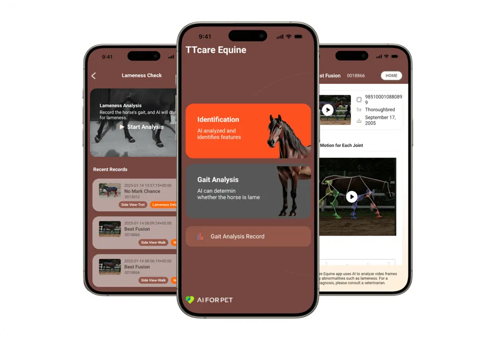 TTcare Equine - AI FOR PET